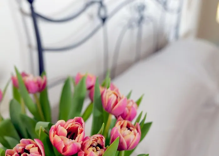 La Corte Dei Sogni Μόντενα